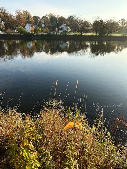 Blue sky at the top, river shoreline with houses, reflected almost perfectly still in the water. Blue of the sky reflected in the water covers the whole middle of the shot with bright green/yellow/brown weeds in foreground from the shore I'm standing on.