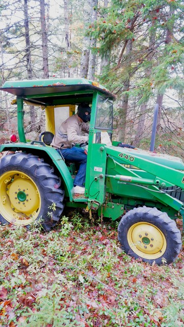 A human dog tries operating a tractor in a forest