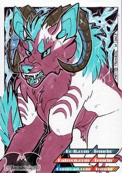 A traditional art piece done with inks and copic markers, of a dragon wolf hybrid critter that is white furred, with purple markings and scales, cyan blue skin/ears/tongue and some markings who is transforming from an anthro form, into a large dire wolf-like quadrupen with huge curved horns like a ram. The characters' cyan blue hair is now a thick mane from head to shoulders and mid back. The character is snarling and charging up an electric magic around them.