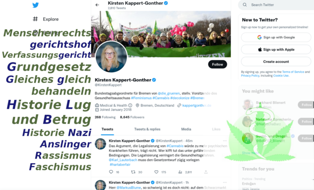 Gesundheit
Ärzteverbände lehnen Legalisierung von Cannabis ab
Paragraphen Symbol aus Holz zusammen mit grünen Marihuana Blättern einer Cannabispflanze
Der Gesundheitsausschuss befasste sich mit einer Vorlage der Regierung zum kontrollierten Umgang mit Cannabis.