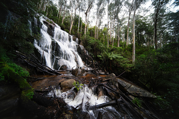 Waterfalls in Nooji 
Cascade waters running down a cliff in Gippsland