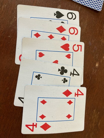 Cribbage hand: 66544. 24 points.