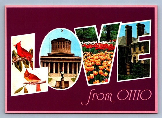 postcard with the word love. Each letter has a picture. L are red cardinals. O is the capital building? V is tulips. E - is some building