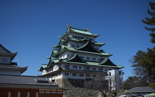 Nagoya Castle, as seen from afar, taken with a DSLR camera.