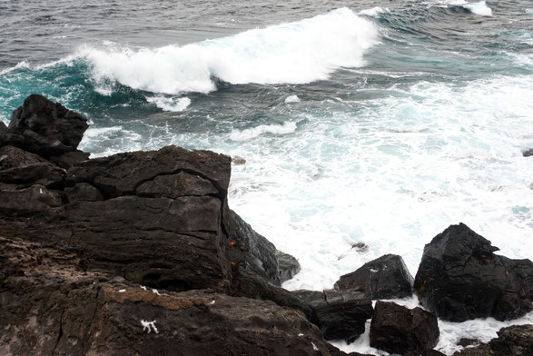 Im Vordergrund schwarze Lavafelsen. Einige rote Krabben sind zu erkennen. Zwischen den Felsen schäumendes Meerwasser. Dahinter Ozean-Wasser. Eine neue Welle rollt heran.