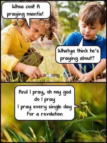 Two panel photo
Top. Two kids looking at a praying mantis. 
Kid 1: Whoa cool! A praying mantis!
Kid 2: Whatya think he's praying about?

Bottom panel photo of mantis on blade of grass
Mantis: “🎶And I pray, oh my god do I pray, I pray every single day, For a revolution”