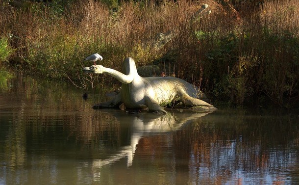 A plaster plesiosaur, perhaps, an eight-foot, sun-dappled pudding with flippers, rests at the edge of a lake, its long neck supporting a small snake-like head which is roughly the size of a small gull.

On its head, coincidentally, stands exactly one small gull, looking directly downwards, as if wondering if there's anything inside worth eating.

Behind the two, a red-nosed moorhen is paddling as indifferently as a bureaucrat heading to the office.