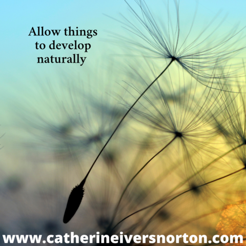 A dandelion wishy releases from it's tether and floats in a slight breeze. The caption reads, "Allow things to happen naturally."