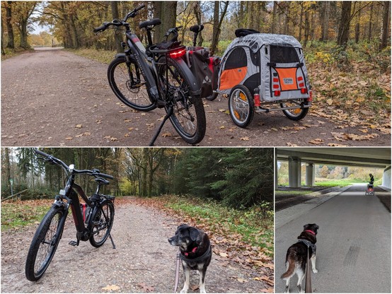 Bildkollage:
Oben: Ein Haibike Trekking und ein Tern-Vektron mit Hundeanhänger Comfort Wagon stehen auf einem Waldweg
Unten links:
Haibike von vorn und daneben ein kleiner schwarzer Hund auf einem Waldweg.
Unten rechts:
Unter einer sehr breiten Autobrücke, die über eine Au führt. Ein kleiner schwarzer Hund im Vordergrund ist an der Leine und schaut in Fahrtrichtung. Im Hintergrund ist ein Fahrradfahrer mit Hundeanhänger. Der Weg führt dann weiter durch den Wald.