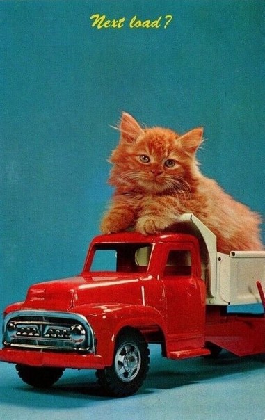 An orange cat sits in a toy dump truck