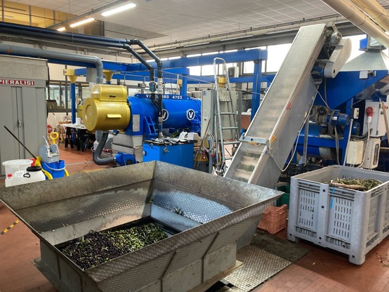 A small-scale olive oil frantoio with gleaming machines