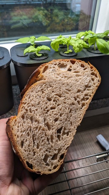 Der gleiche Brot Laib aber aufgeschnitten, man sieht eine gleichmÃ¤ÃŸige offene Krume mit mittlerer Porung.