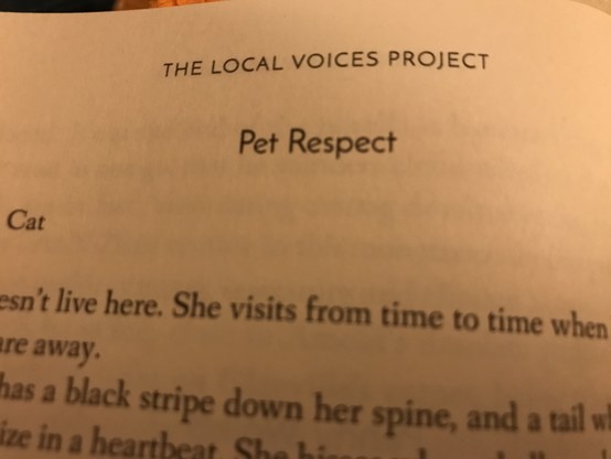Photo of the start of the piece called Pet Respect.