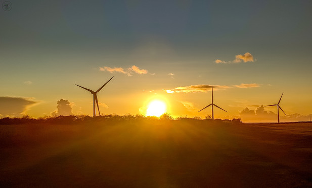 Sunset shot over fields with three windturbines outlined on the horizon, with setting sun in centre of shot, fields in foreground with sunrays streaking the shot