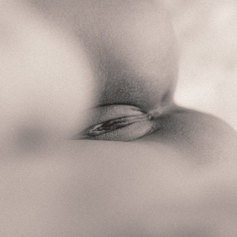 Detailed view of labia and clitoris in monochrome with soft bokeh