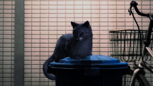 Black cat sitting on a closed trash can with its tail extended over the edge, from Like A Dragon.