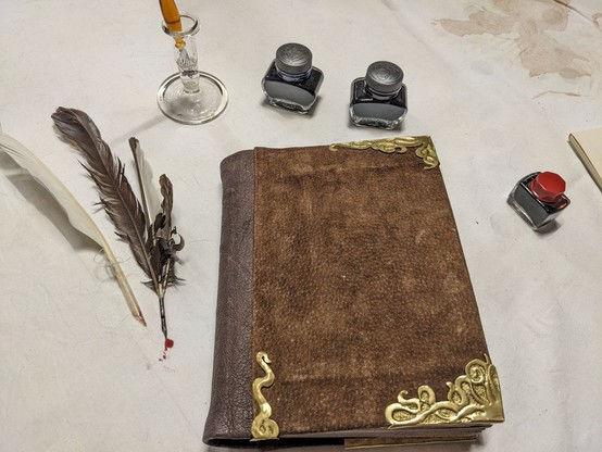 Auf  einem Tisch liegt ein scheinbar in Leder eingeschlagenes Buch mit Messing BeschlÃ¤gen. Darum sind Federn und Tinte drapiert.