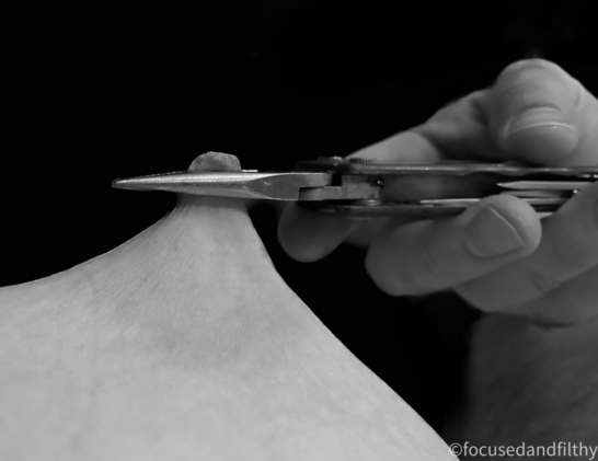 Black and white close up photograph of a man’s hand holding a leatherman tool horizontally and the plier end is holding a female nipple in its beaks pulling it up.