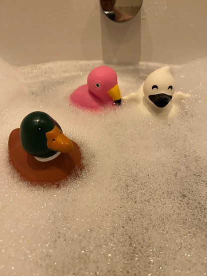 Three rubber ducks floating in a thin layer of foam in a bathtub. From left to right: a brown mallard with a green head and yellow beak, a pink flamingo with a yellow beak and a white ghost duck