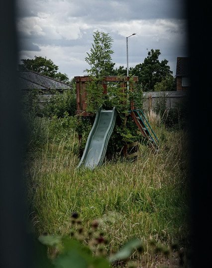 A childrens' playground slide is overgrown, with a tree growing through its structure. It is seen through a gap in a barrier, and its surrounded by long grasses, bushes, and other undergrowth. Theres a fence towards the back, and houses beyond that.