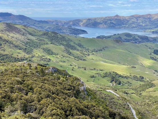 View across bush & farmland to Akaroa Harbour, with a glimpse of the township