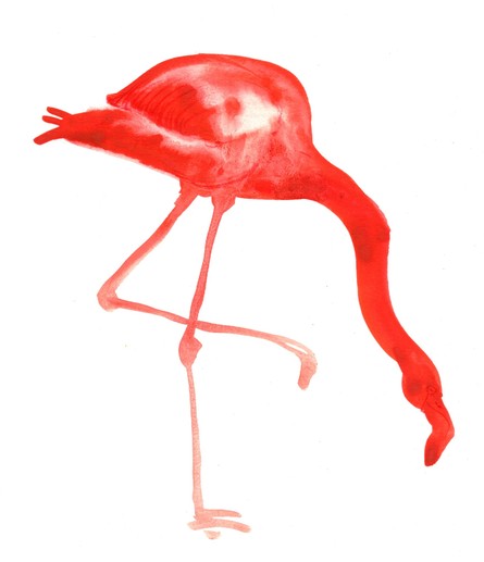 an image of a very pink flamingo putting its head down, seen in profile with one foot up, done in watercolor and a few lines of colored pencil