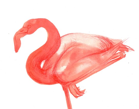 an image of a pink flamingo standing, seen in profile with one foot up, done in watercolor and a few lines of colored pencil