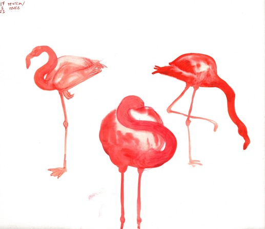 the complete sheet of flamingo studies the other images are taken from, showing all three pink watercolor flamingos