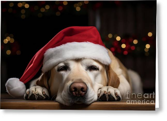 Labrador Retriever dog portrait with a Santa hat. Christmas card