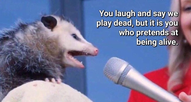 A possum screams into a microphone, "You laugh and say we play dead, but it is you who pretends at being alive."