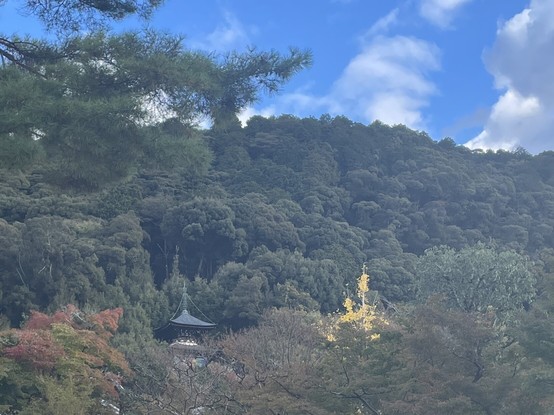 Eikando, one of the greatest temples for changing leaves, starting soon.