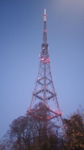 A view of the Crystal Palace Transmitter Tower looking lit up and washed out. It has a number of red lanterns on it, presumably to ward off flyers, which might look dramatic against a dark and star-sprinkled sky, but here does not as the sky, the tower and its sweet little lanterns are outshone by unseen streetlamps, whose harsh glare is scattered by the evening drizzle.

The trees beneath, that once fluffily embraced the tower's legs, are looking threadbare now, their skeletal twigs reaching out in scratchy desperation.
