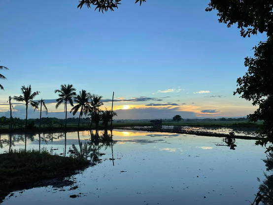 Photograph taken at the end of a day in a Philippine province; the sun is setting behind low clouds and it is reflected on a pond of water in the foreground.