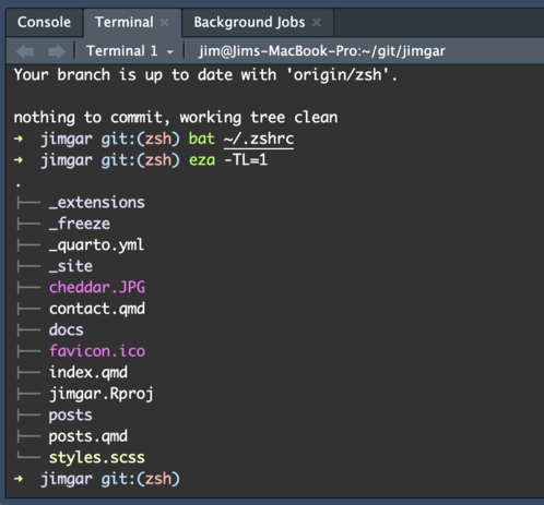 Screenshot of the Terminal pane in RStudio. It shows a terminal using zsh, instead of the RStudio-provided default bash. The commands "bat" and "eza -TL=1" have been run and the results are displayed. Different elements of the commands and results have been colourised by Oh My Zsh and eza.