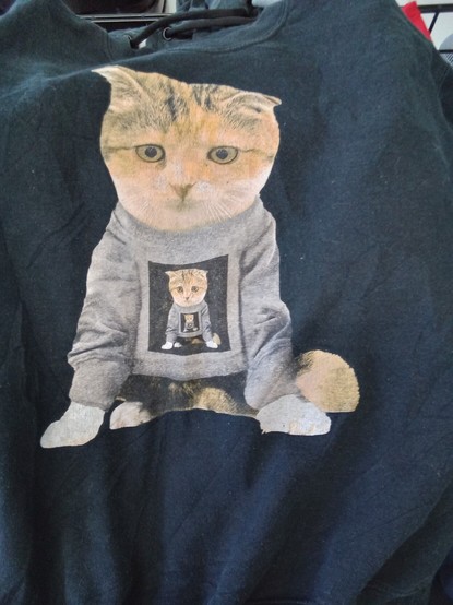 the front of a sweatshirt with a drawing of a cat, who iswearing a sweatshirt with a cat, who is wearing a sweatshirt with a cat on it....
