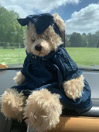 Mrs Hudson - a golden brown teddy bear in. Dark blue dress and a bow.