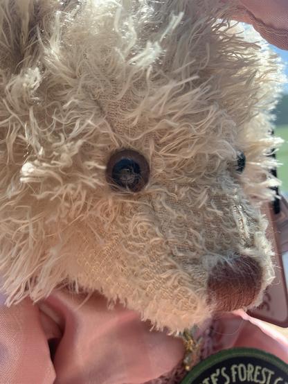 John Watson is a pale gold bear with a brown nose and kind eyes.