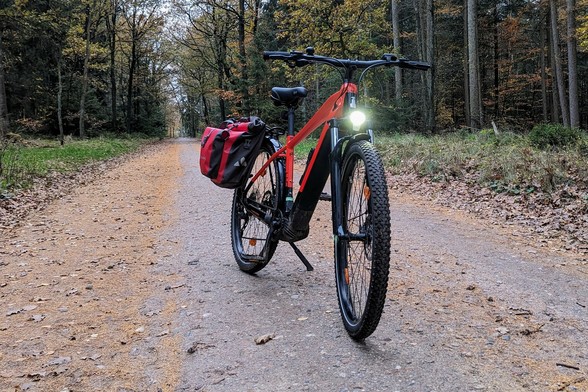 Ein rotes Raleigh Dundee Mountain Bike von vorn auf einem Waldweg.