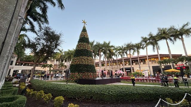 A Christmas tree in the middle of Merrick shopping center with palm trees around, a few people, and the stage where everyone will perform.