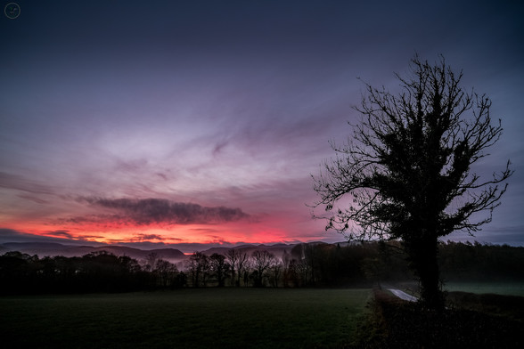 Red hued sunrise over mountains, with clouds illuminated by the sun. Farmland and trees in foreground wreathed in morning mist. Silhouette of tree on right frame