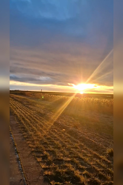 Kamera Schwenk über den abendlichen Deich in der Herbstsonne, im Hintergrund ist der Leuchtturm obereversand zu erkennen