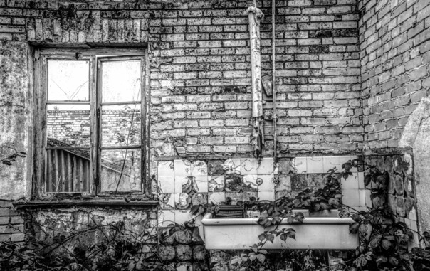 Man sieht eine Wand .Links ein Fenster, rechts ein altes Waschbecken. Efeu und Unkraut wuchern vom Boden hoch.
