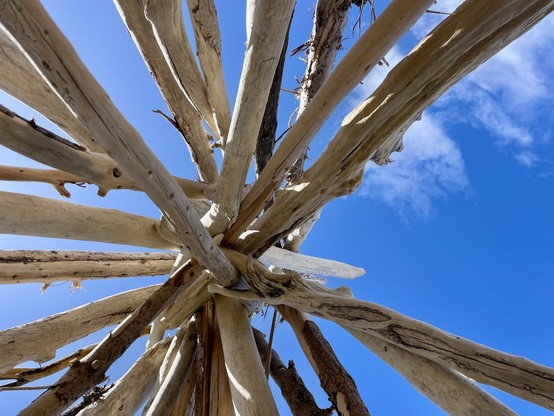 View from floor of a driftwood tepee, looking skyward to apex