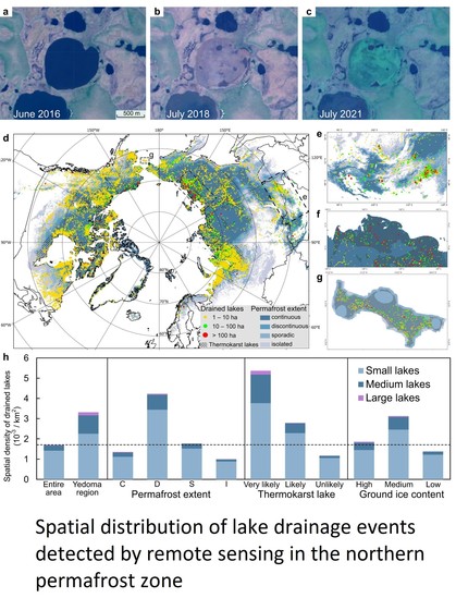 graphs / maps / aerial images - Spatial distribution of lake drainage events detected by remote sensing in the northern permafrost zone