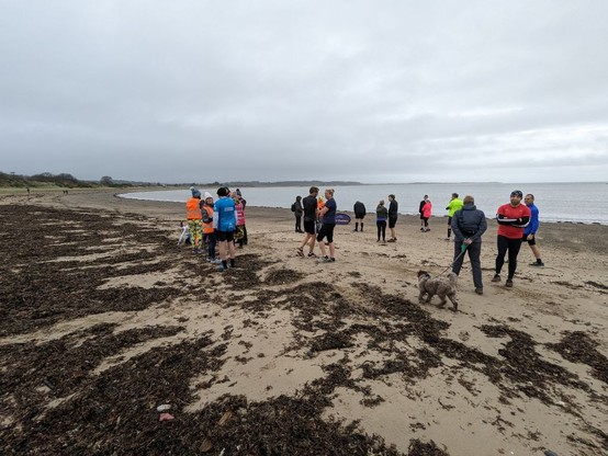 Runners assemble on the sandy beach. There's a fair bit of seaweed in the foreground.