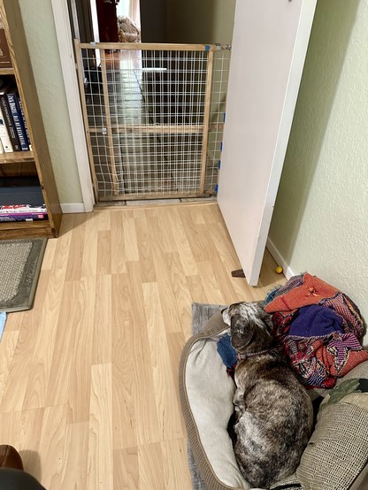 Mr. B in his prison cell