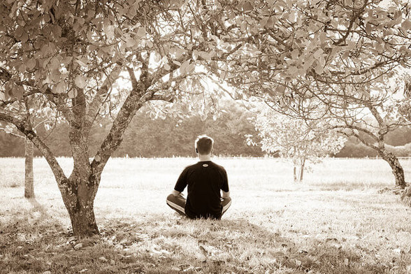 meditate daily: A sepia photograph of a back of a person wearing a black shirt and sitting cross-legged in a field, surrounded by trees. Photo attribution: Flickr user wiertz