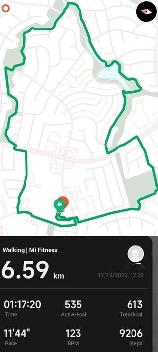 An unmarked map tracing the path of a walk in green. White text on black under the map with stats related to the walk.