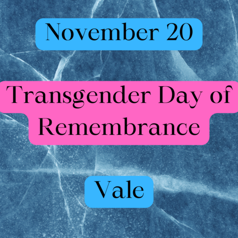 A Prussian Blue cracked ice background with text in the blue and pink stripes of the trans flag. "November 20. Transgender Day of Remembrance. Vale"