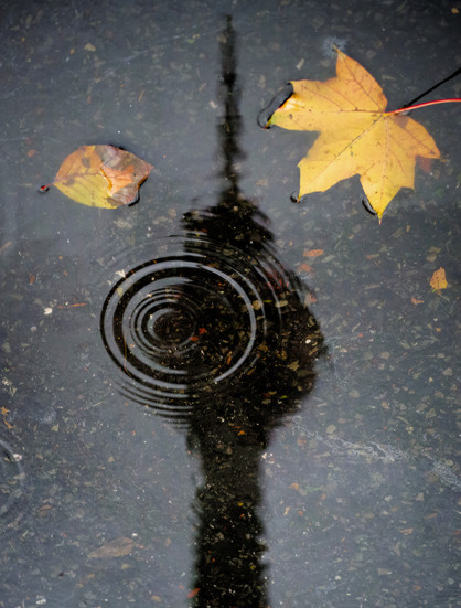 Reflektion des Fernsehturms in einer Pfütze. Auf dem Wasser liegen zwei gelbe Blätter und ein Tropfen breitet sich auf der Wasserfläche aus.